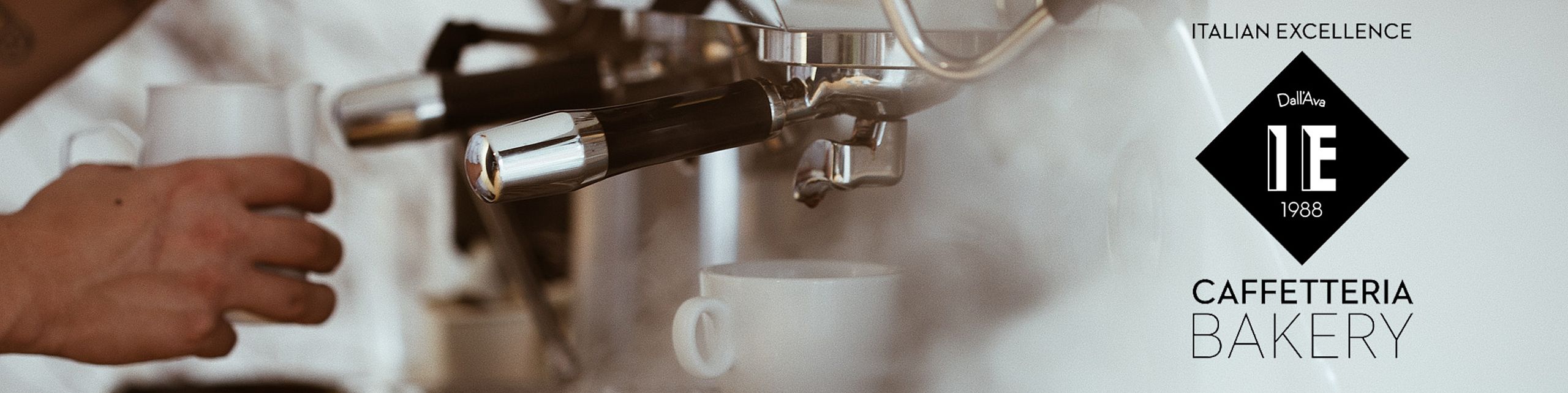 Dall'Ava IE 1988 Shop Banner